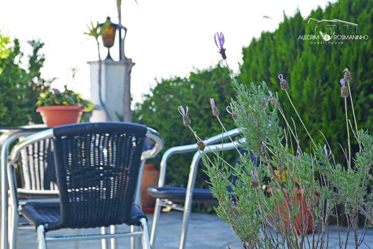Alecrim Rosmaninho Guest House Pinhel Extérieur photo